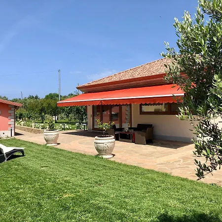C'amaryllide * Castellabate